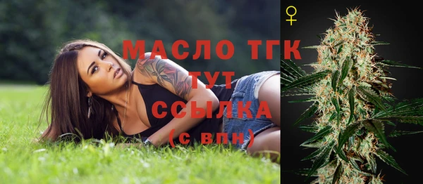 прущий лед Нея